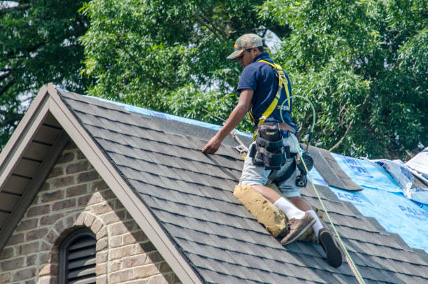 Best Roof Maintenance Services  in Hurricane, WV